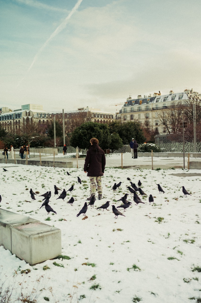 Crows in snow with a standing figure and buildings behind